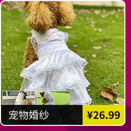 大量批发宠物衣架 宠物用品 衣架一套(10个)塑料狗狗衣架