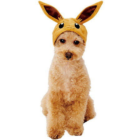 猫奴必备 pokemon 用品收服宠物