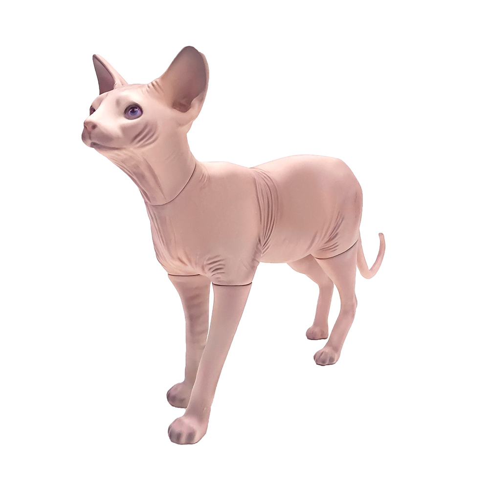 无毛猫模型可拆宠物道具猫狗衣服拍摄展示衣架模特斯芬克斯猫摆件