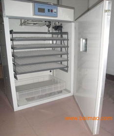 湖南土鸡孵化设备 小型孵化机 永州土鸡孵化设备,湖南土鸡孵化设备 小型孵化机 永州土鸡孵化设备生产厂家,湖南土鸡孵化设备 小型孵化机 永州土鸡孵化设备价格