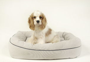 高清西班牙图片下载 西班牙风景图大全 千图网