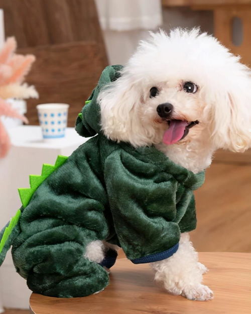 宠物用品市场杀出黑马 毛孩子也懂快时尚