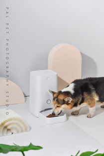 一组宠物生活类智能产品拍摄