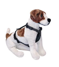 2016年这些宠物用品最好用,铲屎官们怎么看