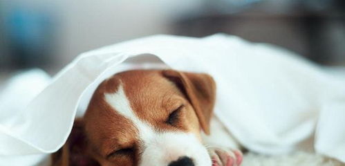 网购要知道避雷, 5类 商品去实体店买更好,不要贪便宜而吃亏