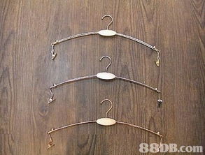 森美模特儿衣架公司 专业衣架与宠物衣架解决方案