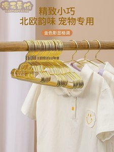 宠物衣架上的泰迪 萌宠时尚穿搭与温馨家居图鉴