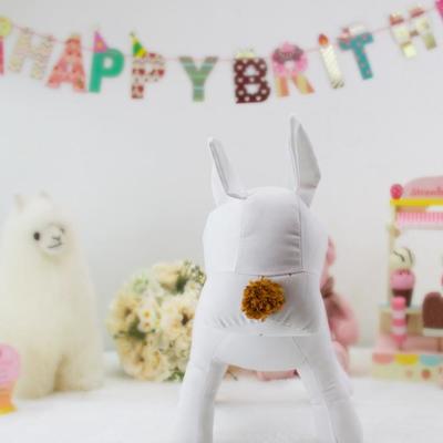 宠物服饰展示新风尚 专业狗模特与陈列架的魅力